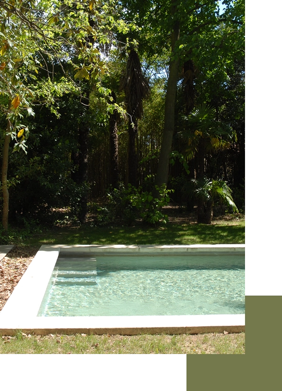 Piscine entourée de verdure, intégrée dans un jardin ombragé.